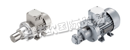 　　SCHERZINGER泵技術公司制造的移動齒輪泵：物理和個人。