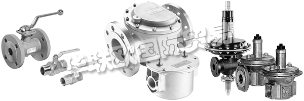 DUNGS是安全清潔氣體燃燒的同義詞，倡導(dǎo)與客戶緊密合作，