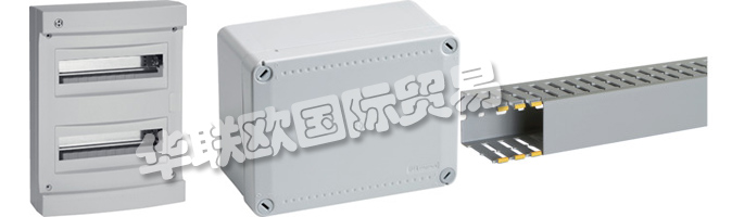 因此，選擇BOCCHIOTTI作為其合作伙伴的人將具有進一步的重要競爭優勢。