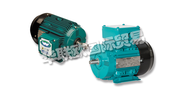 GES公司成立于1972年，當時是Grants Electrical Services(NI)Ltd。，現已發展成為GES集團，一家領先的電氣和機械工程企業，現在為愛爾蘭，英國和歐洲的客戶提供服務。