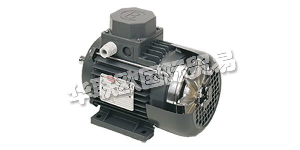 MOTORI BONORA成立于1945年，其業務逐步集中在異步電動機的生產上。  　　在這些年里，他們努力追隨市場的發展，加強他們制造商的使命，并高度重視產品和服務的質量。