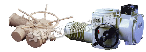歐洲捷克ZPA-PECKY公司的產品主要有：ZPA PECKY執行器、ZPA PECKY電機、伺服電機、單回轉執行器、多回轉執行器、杠桿伺服電機、線性伺服電機、伺服電機的配置器、ZPM變速箱、Mastergear變速箱、單轉伺服電機、多圈伺服電機、推力伺服電機。