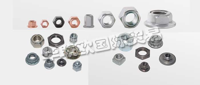 FLAIG+HOMMEL是世界知名的不銹鋼安全螺母制造商，幾十年來一直是國際汽車和鐵路行業的可靠合作伙伴。下文為您具體介紹FLAIG+HOMMEL安全螺母。