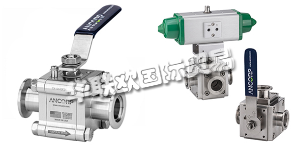 美國ANCORP公司主要供應：美國ANCORP閥門,ANCORP過濾器，真空閥，疏水閥，真空球閥，二通球閥，三通球閥，高電導球閥，顆粒分離器，螺栓，螺母，固定環，夾具等產品。