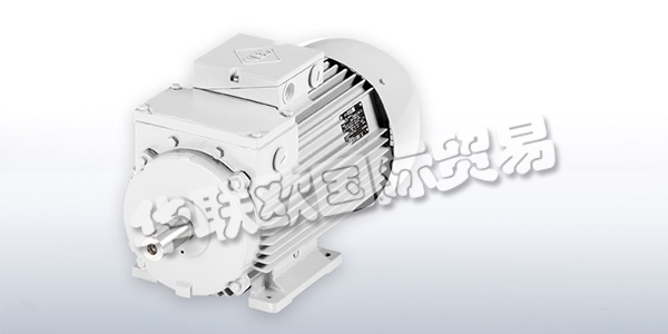 德國VEM滑環式電機產品描述