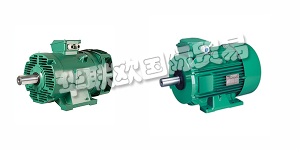 法國LEROY SOMER電機產品特征介紹