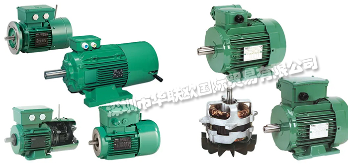 法國利萊森瑪LEROY-SOMER電機/電動機產品詳情